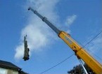 Expert Tree Removal with Cranes