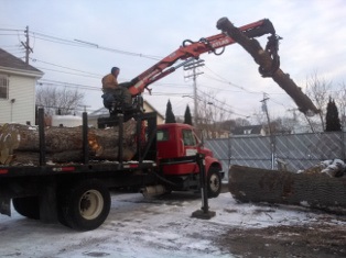 Arbor Care Tree Removal | Melrose MA